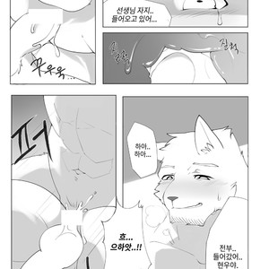 [Hachi Duchi] Grey Cream Puff [kr] — 025