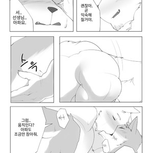 [Hachi Duchi] Grey Cream Puff [kr] — 026