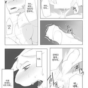 [Hachi Duchi] Grey Cream Puff [kr] — 028