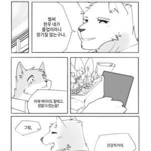 [Hachi Duchi] Grey Cream Puff [kr] — 030