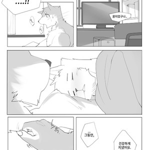 [Hachi Duchi] Grey Cream Puff [kr] — 031