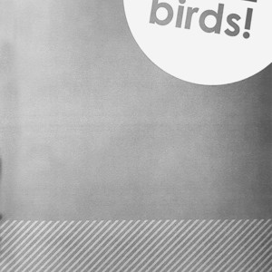 cutie birds 1.5 – Batman dj [JP] – Gay Yaoi image 003.jpg