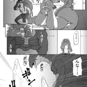 [Mercurochrome (Risuou)] Sourou Vol. 2 – Shining Force EXA dj [JP] – Gay Comics image 010.jpg