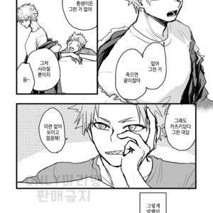 [yuki_tsuki] Someday – Boku no Hero Academia dj [kr] – Gay Comics image 004.jpg