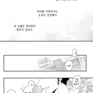 [Lira (Yana Kuwahara)] Wakare wa Kimi to Koi no Uta – One Piece dj [kr] – Gay Comics image 025.jpg
