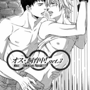 [KANEKO Ako] Juuyoku Porno (update c.3+4) [Eng] – Gay Comics image 054.jpg