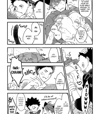 [Rototika (Kamishi Yue)] Iwachan no Neko ni Naritai 3 – Haikyuu!! dj [Eng] — 15