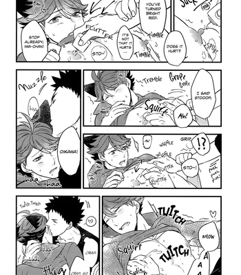 [Rototika (Kamishi Yue)] Iwachan no Neko ni Naritai 3 – Haikyuu!! dj [Eng] — 18