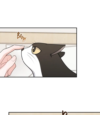 [Ongsim] Not That Cat, This Cat [Eng] — 174