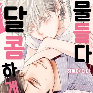 [HATOYA Tama] Amaama ni Somaru (c.1) [kr] – Gay Comics image 001.jpg