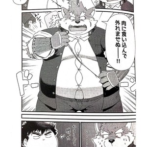 [KAKUNI (Iwano)] Inudzuka Moritaka No Taikei Wa Ke No Sei Dakena No Ka [JP] – Gay Comics image 023.jpg