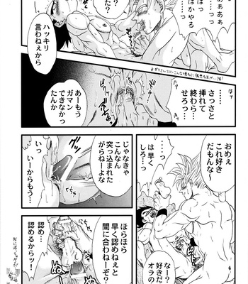 [Power Level 69 & Soul Beast Union (Ossan & Gichi)] Dragonball Fan Book SPECIAL – Dragon Ball Z dj [JP] — 16