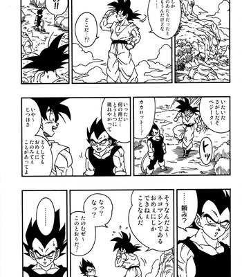 [Power Level 69 & Soul Beast Union (Ossan & Gichi)] Dragonball Fan Book SPECIAL – Dragon Ball Z dj [JP] — 022
