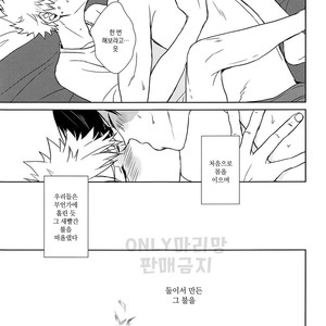 [DAI-chan] Tabisakide ukarete nanigawarui – Boku no Hero Academia dj [kr] – Gay Comics image 022.jpg