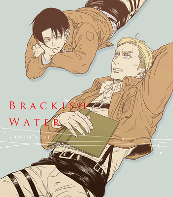 [ikichi8] Brackish Water – Attack on Titan dj [Eng] – Gay Comics image ikichi8-Brackish_Water_00001-MRM.jpg