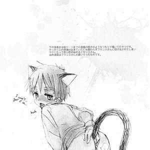 [AtsuAtsu Cook] With Little Kitty! – Hetalia dj [Eng] – Gay Comics image 010.jpg