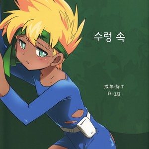 [EX35 (Kamaboko RED)] Nukarumi – Bakusou Kyoudai Lets & Go!! dj [kr] – Gay Comics
