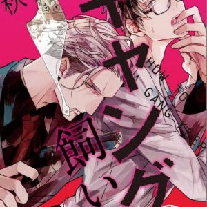 [AKIHISA Teo] Gang no Kaikata (c.1) [Eng] – Gay Comics