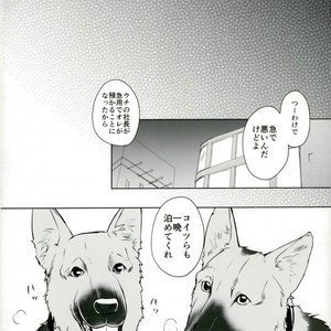 [SiZ Zler] Lovely My Dog – Durarara!! dj [JP] – Gay Comics image 010.jpg