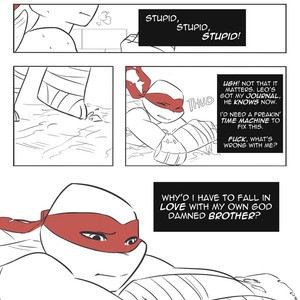 [Ninjazure] Journal – TMNT dj [Eng] – Gay Comics image 004.jpg