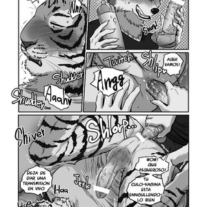 [Maririn] Wolf Teacher & Tiger Daddy 2 [Spanish] – Gay Comics image 022.jpg