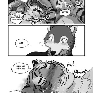 [Maririn] Wolf Teacher & Tiger Daddy 2 [Spanish] – Gay Comics image 026.jpg