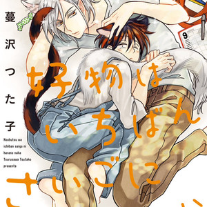 [TSURUSAWA Tsutako] Koubutsu wa Ichiban Saigo ni Hara no Naka (c.1) [Eng] – Gay Comics image 003.jpg