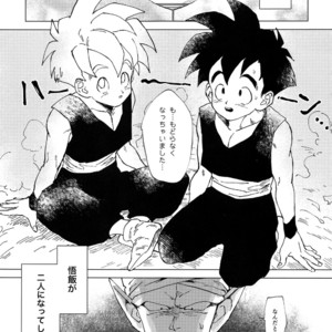 [Rururairai (Annei)] Kimi ga Ikutsu ni Natte mo – Dragon Ball Z dj [JP] – Gay Comics image 004.jpg
