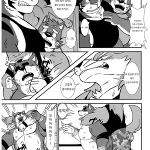 [Zunguri Dango (Various)] BFW Beast Fighter Wrestling Vol. 5 [kr] – Gay Comics image 020.jpg