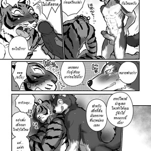 [Maririn] Teacher Wolf And Daddy tiger [Thai] – Gay Comics image 021.jpg