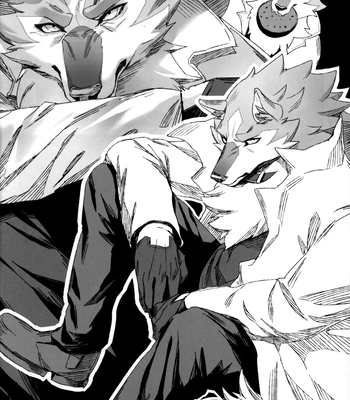 [Sora no Gomibako (SKY)] Ginrou – BNA: Brand New Animal dj [Eng] — 7