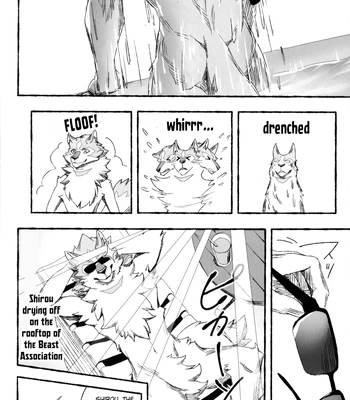 [Sora no Gomibako (SKY)] Ginrou – BNA: Brand New Animal dj [Eng] — 13