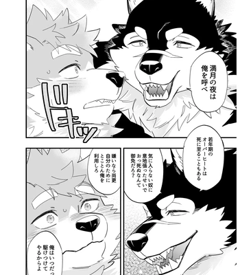 [Draw Two (Draw2)] Karisome Wolf [JP] — 15