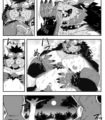 [WILD STYLE (Ross)] GAOGAOGAO! [JP] — 14