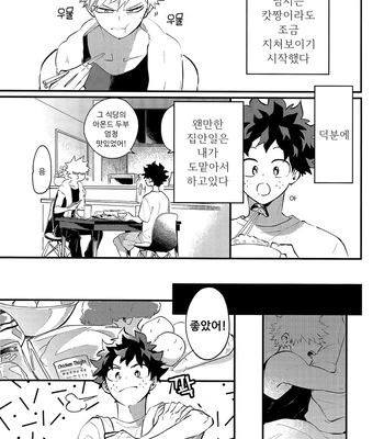 [aroe] spice third – My Hero Academia dj [Kr] — 023