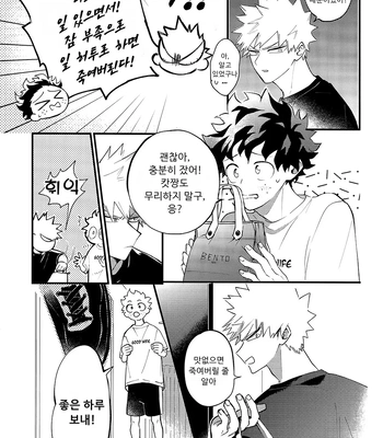 [aroe] spice third – My Hero Academia dj [Kr] — 029