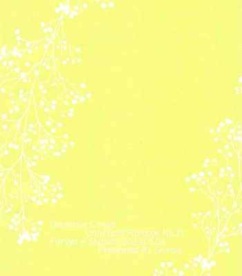 [Shiraai (Ramuko)] Noisy Communication – Detective Conan dj [JP] — 18