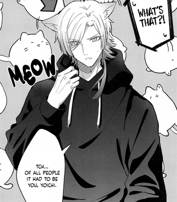 [miao (enaka)] Cats are also beasts – Blue Lock dj [Eng] — 6