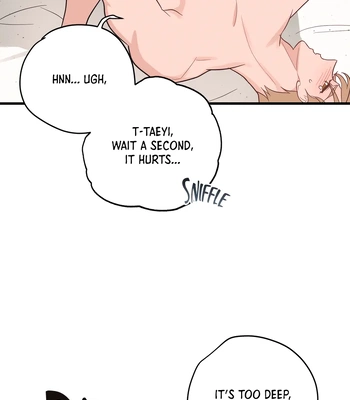 [Nokhi] Standard Love [Eng] — 437