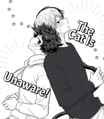 [Chu-jyoki] The Cat Is Unaware! – Boku no Hero Academia dj [Eng]