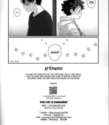 [Chu-jyoki] The Cat Is Unaware! – Boku no Hero Academia dj [Eng] — 13