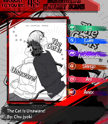 [Chu-jyoki] The Cat Is Unaware! – Boku no Hero Academia dj [Eng] — 15