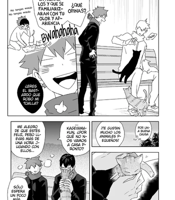 [Bubunhanten] Tabun Hina→Kage – Haikyuu!! dj [Spa] — 4