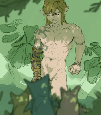 [Bludwing] Link (Term 58) – The Legend of Zelda dj — 13