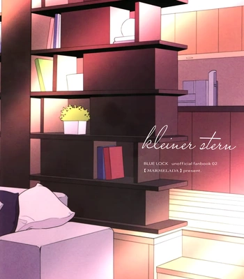 [Marmelada (Miyamori)] Kleiner Stern – Blue Lock dj [Eng] — 024