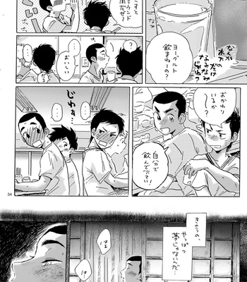 [Nidouma! (Tsurukichi)] Iu hodo Remon jyanakatta youna – Major Yuujou no Ikkyuu dj [JP] — 033