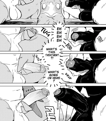 [Rubber Cup Boys (INAX)] White-Tailed Eagle and Owls [Eng] — 9
