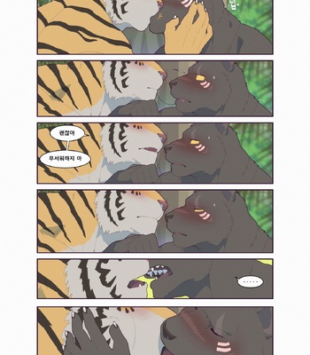 [Raccoon21] Black & Yellow – Jungle [Eng, Kr] — 11